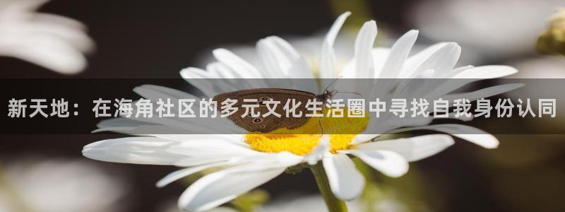 枫桥镇海角社区拆迁计划