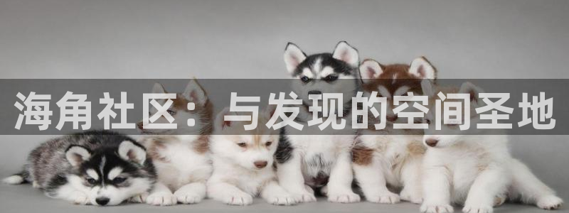 海角社区静：海角社区：与发现的空间圣地