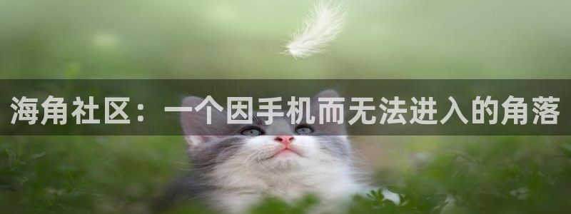 海角社区解说：海角社区：一个因手机而无法进入的角落