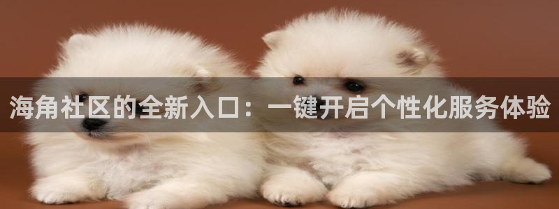 2021海角社区地址：海角社区的全新入口：一键开启个性化服务体验