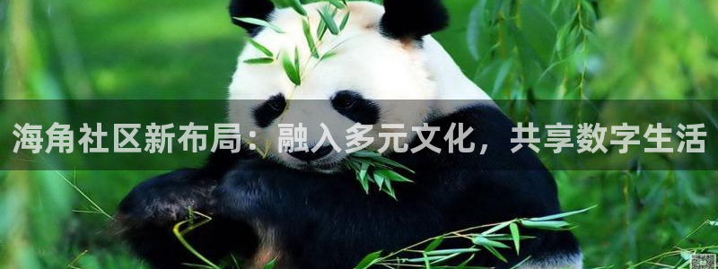 hjb海角社区:海角社区新布局:融入多元文化,共享数字生活