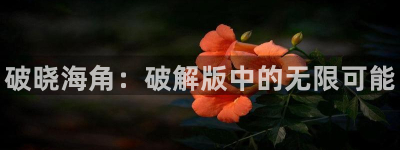 海角社区破解版v1.0:破晓海角:破解版中的无限可能