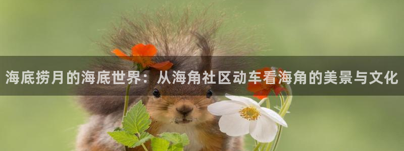 海角社区hj2f4论坛:海底捞月的海底世界:从海角社区动车看海角的美景与文化