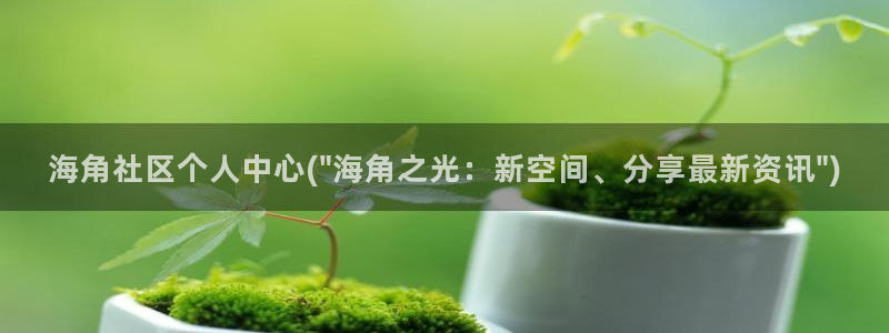 海角社区一个钻石多少钱:海角社区个人中心(\