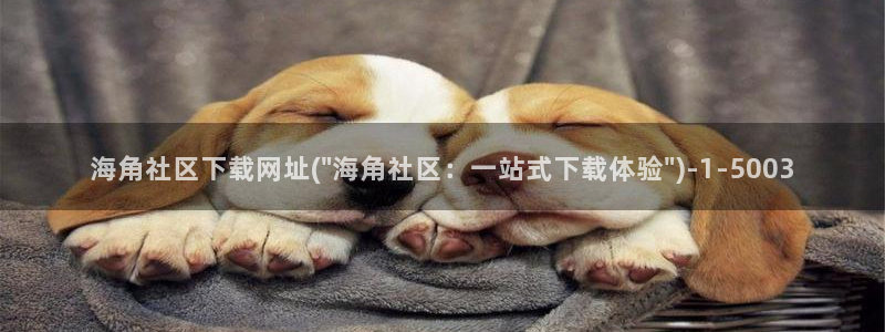 海角社区钻石破解版