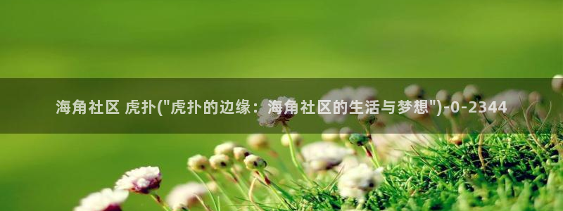 海角社区网盘下载:海角社区 虎扑(\