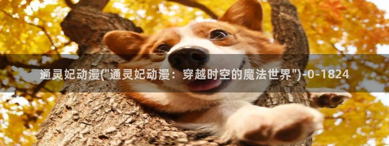 动漫艳母