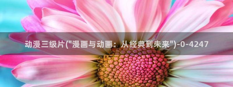 奇奇动漫网