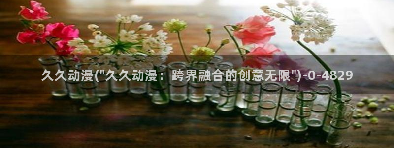ace动漫