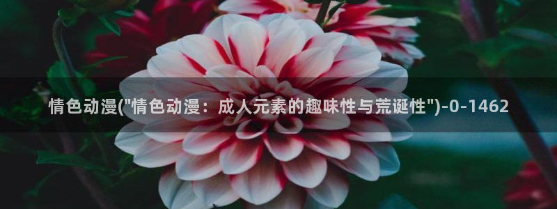 动漫培训