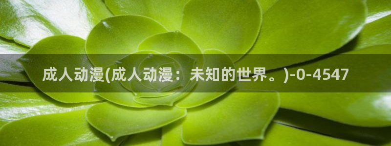 动漫花园