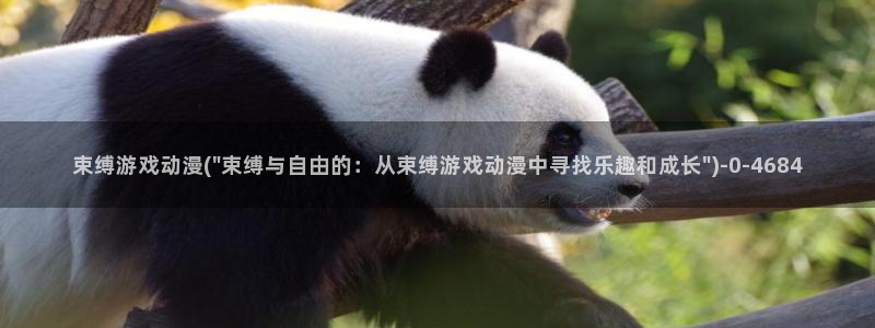 ace动漫